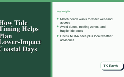 How Tide Timing Helps Plan Lower-Impact Coastal Days